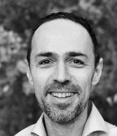 Sasa Krsmanovic, Board of Directors